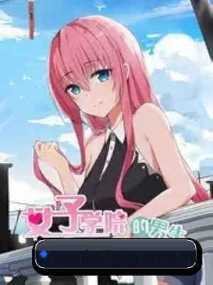 🍉 关于我们