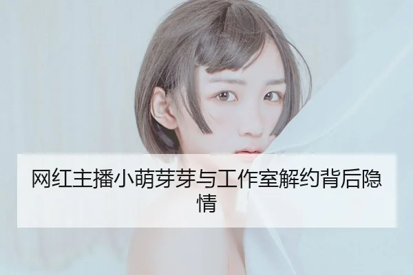 网红主播小萌芽芽与工作室解约背后隐情